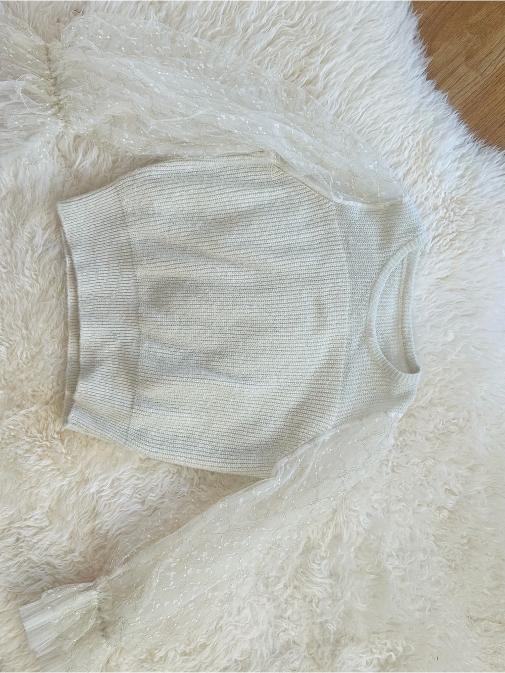 Cream Knit Sweater with Sheer Sparkle Sleeves - Women